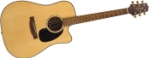 Takamine Acoustic Electric Cutaway EG340SC