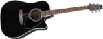 TAKAMINE EG341SC Black /S.Spruce Top