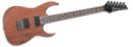 Ibanez RG321MHMOL Fixed Bridge Dual Humbucker Rosewood Dot Inlay