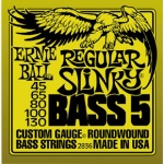 Ernie Ball 2836 Slinky 5-String Bass Strings