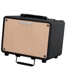 Ibanez Troubadour T30 30W Acoustic Combo Amp