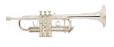 Bach C180SL229CUSTOM Pro Trumpet C lrg bore, 229 bell,  25A pipe