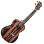 Amahi Ebony Concert Uke w/Bag