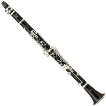 Buffet R13 Pro Wood Clarinet  - Silver Keys BC1131-2-O