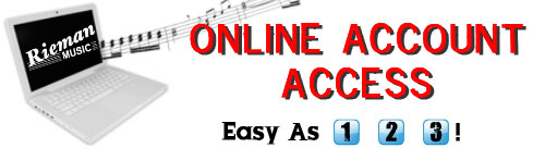 Online Account Access